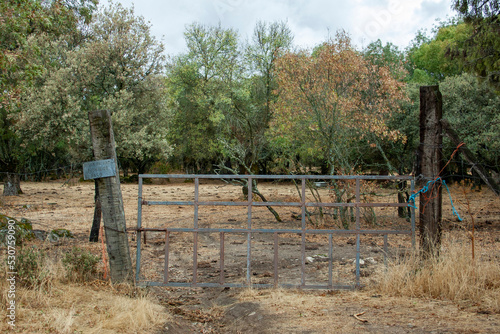 country gate
puerta rural
porte du pays
9 photo