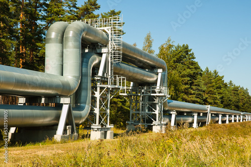 pipeline, in the photo pipeline close-up against the background of blue sky and forest