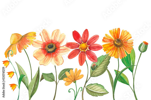 Watercolor linear floral illustration for postcards. Blooming summer flowers in warm colors in vintage style.