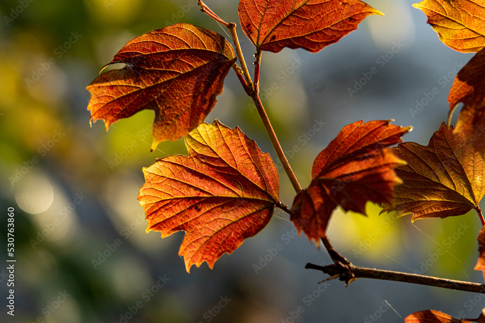 autumn 12 autumn 12