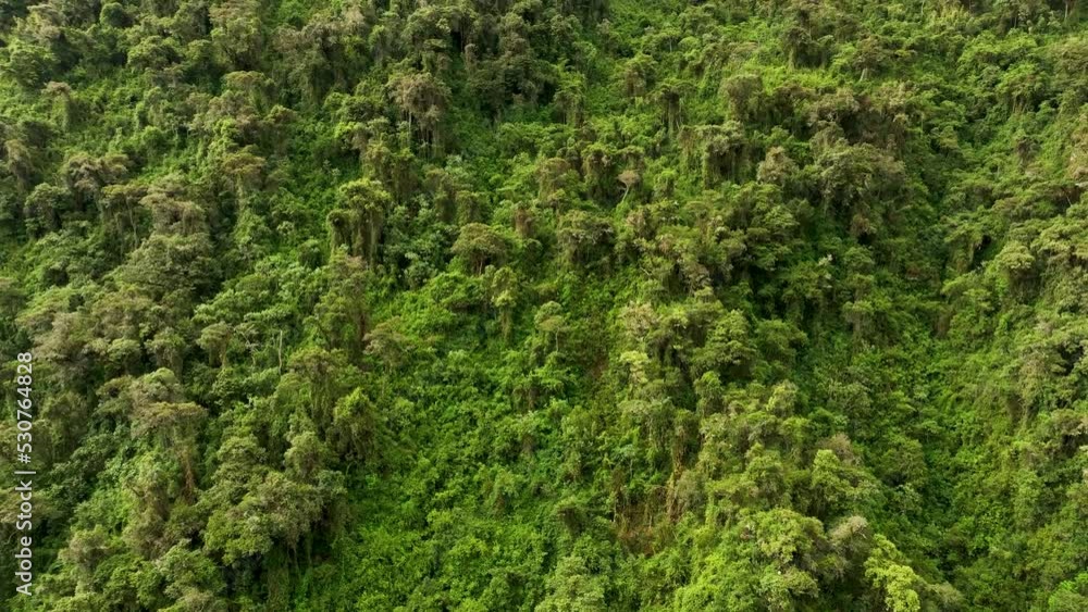 Aerial drone fly view over the mountains and rainforest around Machu Picchu Citadel. An amazing green landscape to enjoy with our eyes. Inca Trail, Peru, Andes, South America Jungle. Aerial drone fly view over the mountains and rainforest around Machu Picchu Citadel. An amazing green landscape to enjoy with our eyes. Inca Trail, Peru, Andes, South America Jungle.