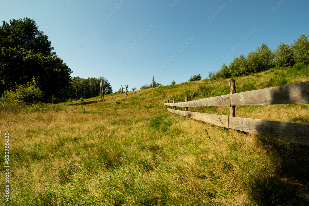 Scenic landscape photo of open grass field and picket fence. Blue skies.