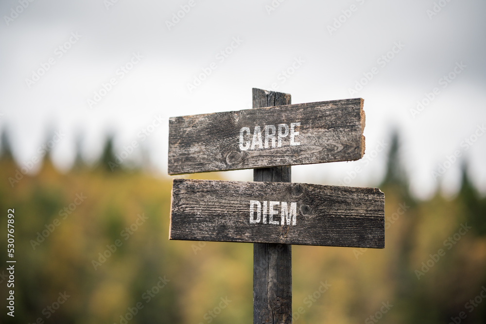 vintage and rustic wooden signpost with the weathered text quote carpe diem, outdoors in nature. blurred out forest fall colors in the background.