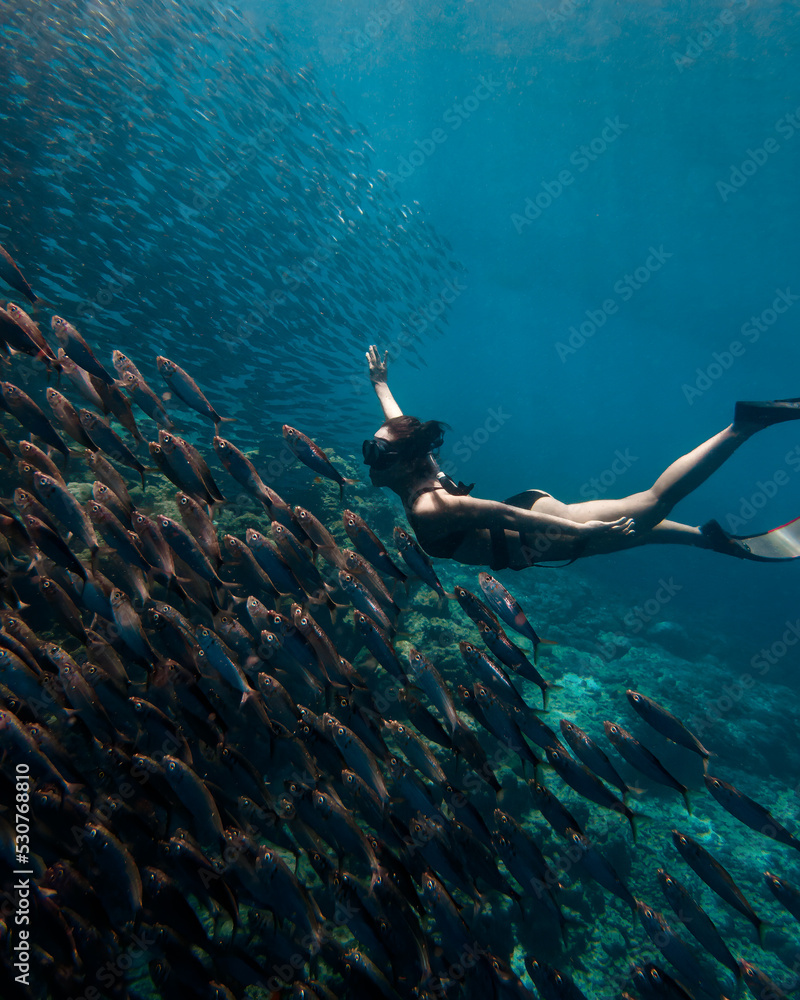 Young female dives close to a massive school of sardines without the help of a breathing apparatus.