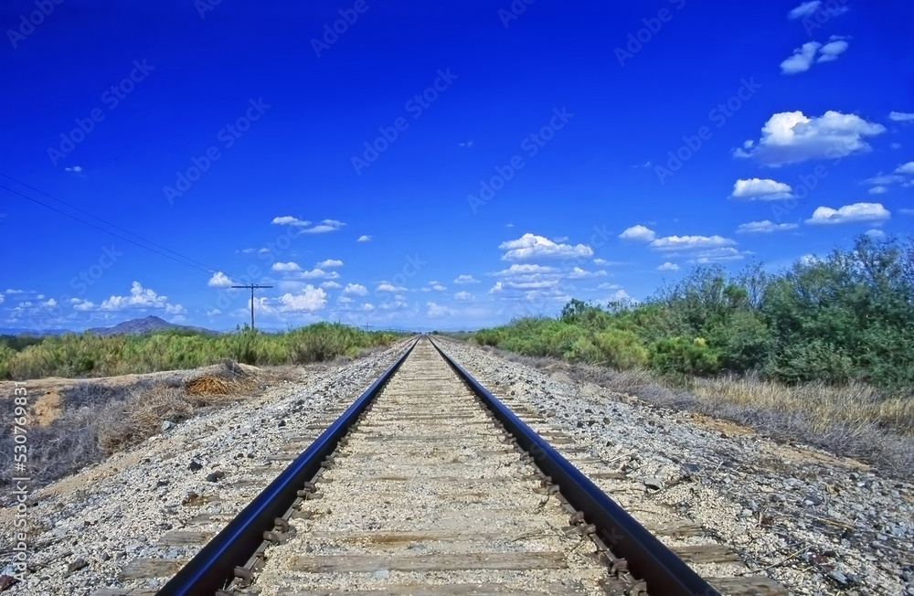 Fototapeta premium Railroad Tracks