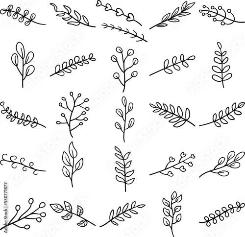 Plants Hand Drawn Doodle Line Art Outline Set Containing flower, grass, herb, seedling, shrub, tree, vine, weed, annual, biennial, bush, creeper, cutting, greenery, perennial, shoot, slip, sprout