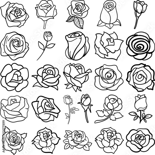 Roses Hand Drawn Doodle Line Art Outline Set Containing Rose, roses, rosebud, bloom, blossom, bud, floret, flower photo