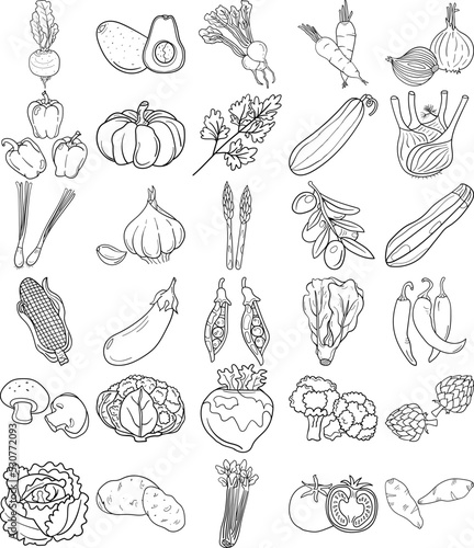 Vegetables Hand Drawn Doodle Line Art Outline Set Containing Avocado, Artichoke, Asparagus, Corn, Mushroom, Broccoli, Cauliflower, Cucumber, Bell pepper, Chilli, Tomato, Carrot, Pumpkin, Cabbage, Pota