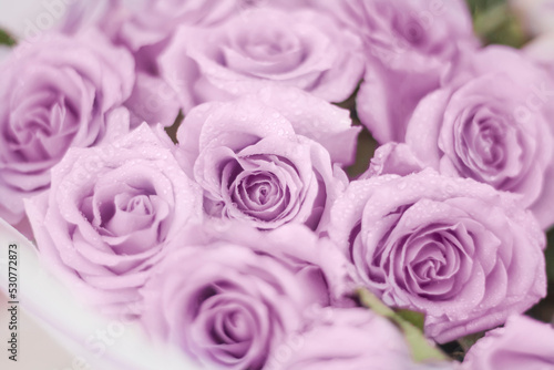background of beautiful pink and purple flowers roses in a bouquet with water drops