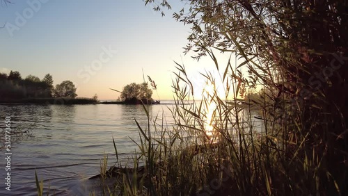 grass on the seashore