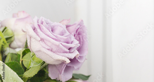 bouquet of beautiful purple roses with water drops on a white background