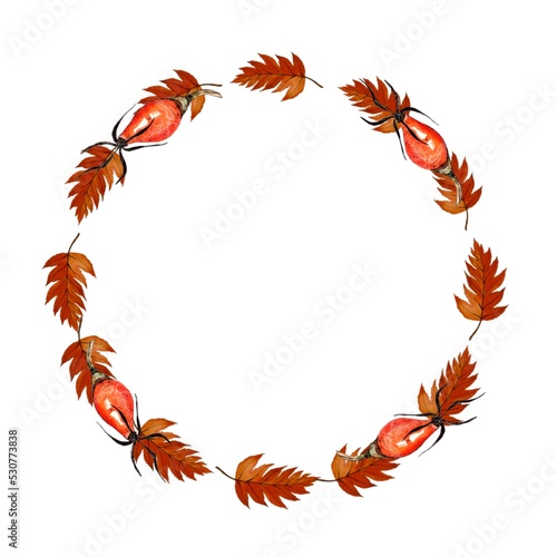 Watercolor Fall wreath, autumn frame with leawes and berries, isolated on white background