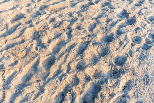 Sea sand floor.sand on the beach as background..Background image