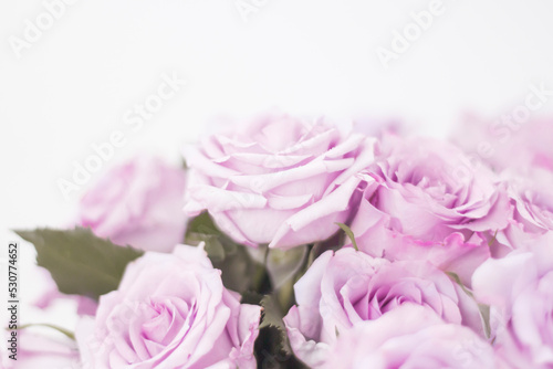 a bouquet of delicate pink roses in soft focus with a copy of the space