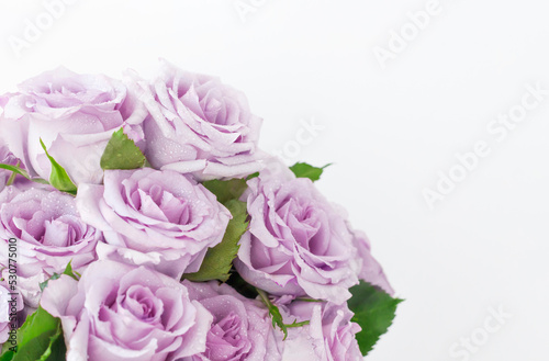 a bouquet of delicate purple roses with a copy of the space © Irina
