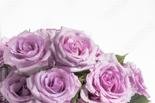a bouquet of delicate purple roses in bright light with a copy of the space