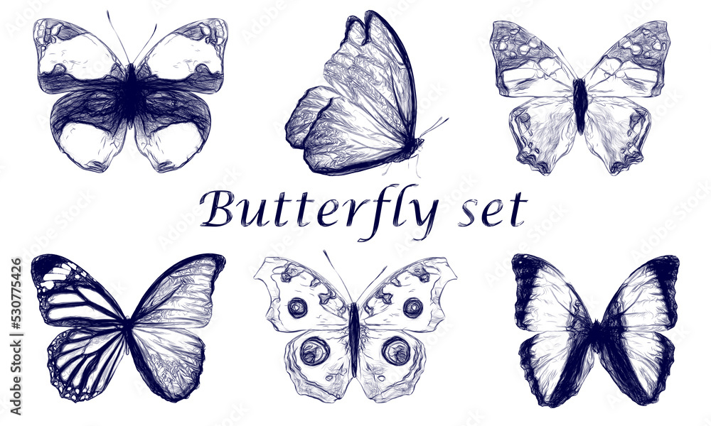 Set of butterflies drawn with a blue pen isolated on a white Set of butterflies drawn with a blue pen isolated on a white