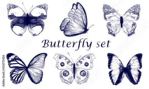 Wallpaper Mural Set of butterflies drawn with a blue pen isolated on a white Torontodigital.ca