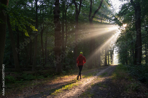 A man running in a lane on a sunny morning in a forest. © sanderstock