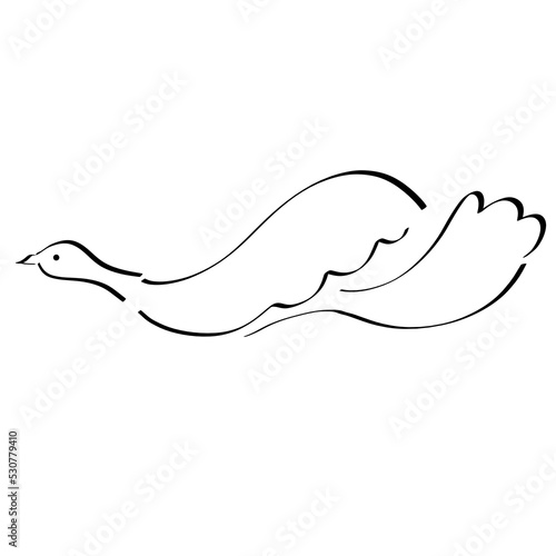 flying bird with a long tail, black outline on a white background