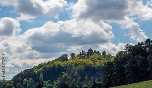 Potstejn Castle  a castle ruin on a wooded hill  Czech republic