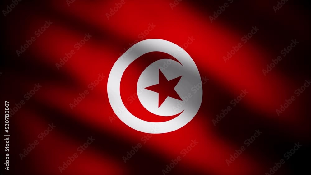 the flag of tunisia blowing in the wind as a realistic background
the flag of tunisia blowing in the wind as a realistic background