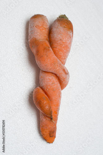 Deformed carrot on white background. Crooked and funny ugly vegetable with strange shape.
