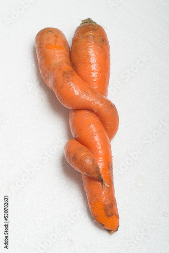 Deformed carrot on white background. Crooked and funny ugly vegetable with strange shape.
