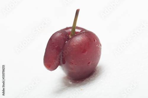 Red black cherry on white background with water drops. With appendix. Ugly crooked fruit.
