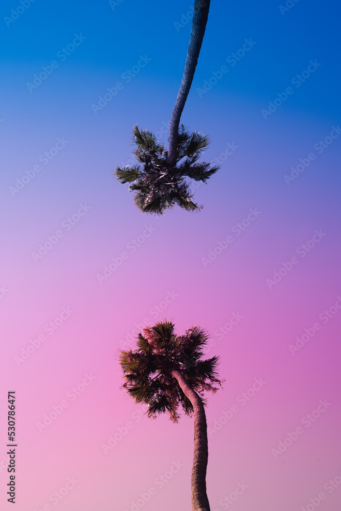 two palm trees in Los Angeles California against pink and blue sunset