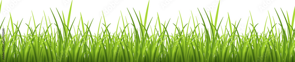 Natural grass horizontal border. Summer green decoration Natural grass horizontal border. Summer green decoration