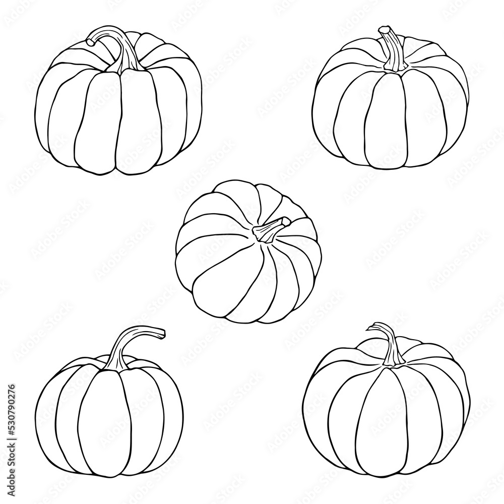 Pumpkins line art hand drawn illustrations of various shapes Thanksgiving and Halloween elements