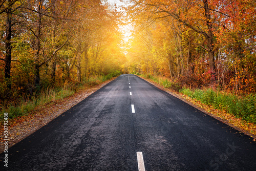 Asphalt road goes to the autumn