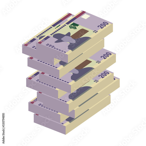 Namibian Dollar Vector Illustration. Namibia money set bundle banknotes. Paper money 200 NAD. Flat style. Isolated on white background. Simple minimal design.