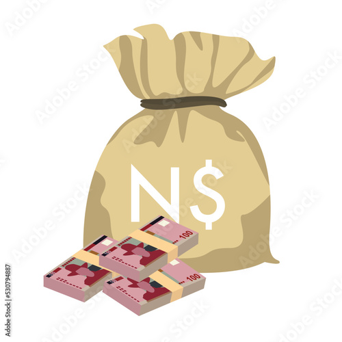 Namibian Dollar Vector Illustration. Namibia money set bundle banknotes. Money bag 100 NAD. Flat style. Isolated on white background. Simple minimal design.