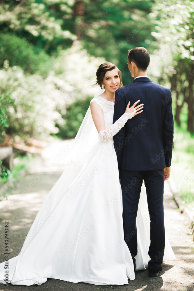 Beautiful romantic wedding couple of newlyweds hugging in park