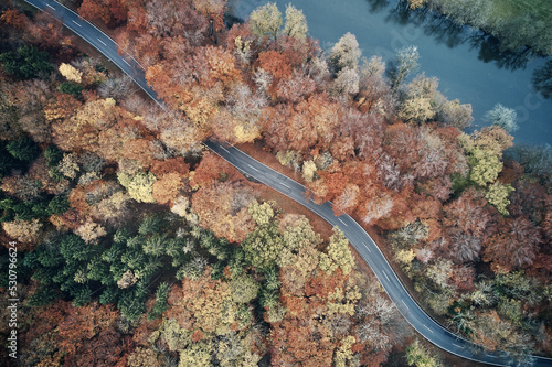 Aerial view of forest road in beautiful autumn. Colorful Trees in yellow, red and green from above.