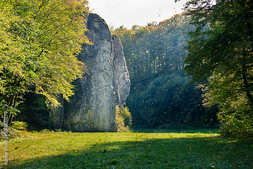 Autumn landscape. A rock in an autumn forest