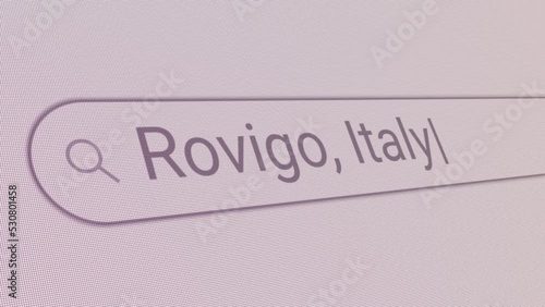 Search Bar Rovigo Italy 
Close Up Single Line Typing Text Box Layout Web Database Browser Engine Concept photo
