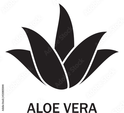 Aloe vera icon isolated on white background. Aloe vera flat icon for web site, app, banner and logo. Aloe vera for poster, ads, label, emblem and badge. Aloe vera vector illustration	