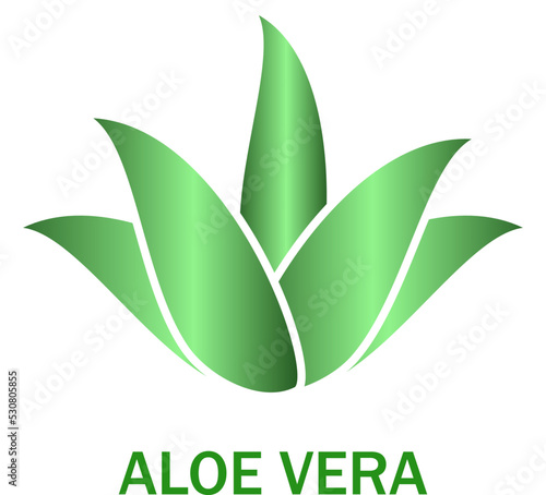 Aloe vera icon isolated on white background. Aloe vera flat icon for web site, app, banner and logo. Aloe vera for poster, ads, label, emblem and badge. Aloe vera vector illustration	