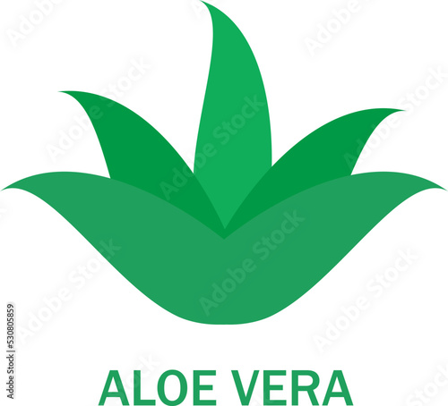 Aloe vera icon isolated on white background. Aloe vera flat icon for web site, app, banner and logo. Aloe vera for poster, ads, label, emblem and badge. Aloe vera vector illustration	