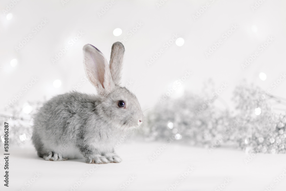 Cute charming rabbit on a festive beautiful background. Greeting card. Funny easter bunny. Symbol of the year 2023 oriental new year. Bright winter garland. White flowers. Hare with mustache and ears Cute charming rabbit on a festive beautiful background. Greeting card. Funny easter bunny. Symbol of the year 2023 oriental new year. Bright winter garland. White flowers. Hare with mustache and ears