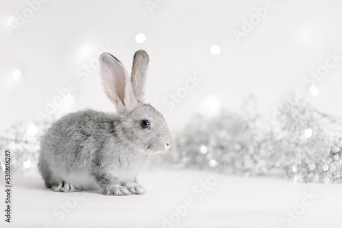 Cute charming rabbit on a festive beautiful background. Greeting card. Funny easter bunny. Symbol of the year 2023 oriental new year. Bright winter garland. White flowers. Hare with mustache and ears © Antipina