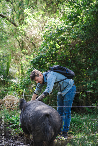 Caucasian man petting wild big pig in the middle of the forest.