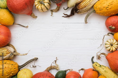 Thanksgiving holiday white background with decorative frame of pumpkins and corn photo