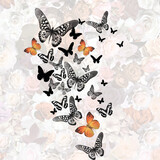 mixed butterfly print on plain ground 