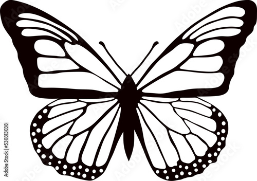 Vector monochrome butterfly Beautiful insect with big black wings. Drawing of a flying beetle.Suitable for sandblasting, laser and plotter cutting..