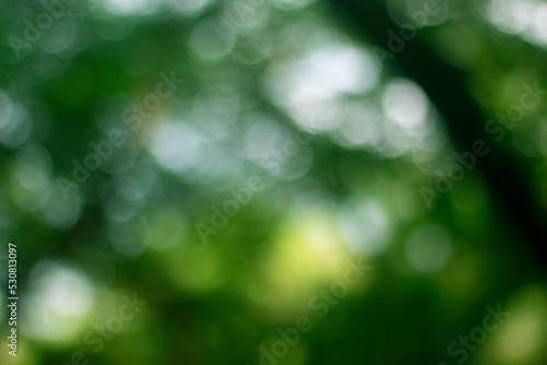 green bokeh abstract light background