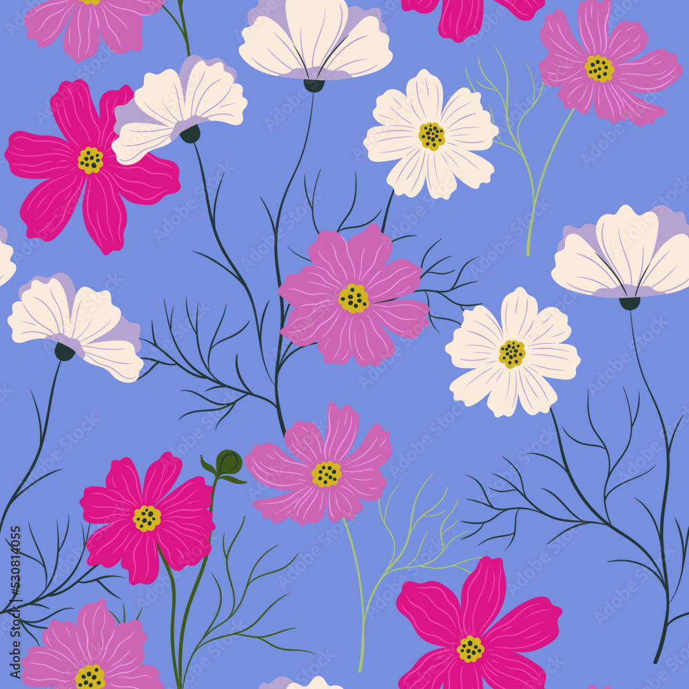 Seamless pattern with pink and white cosmea flowers. Vector graphics.